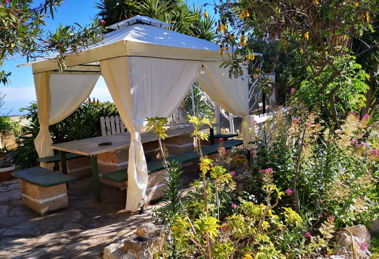 Finca Dulce Maikel Granadilla De Abona Dış mekan fotoğraf