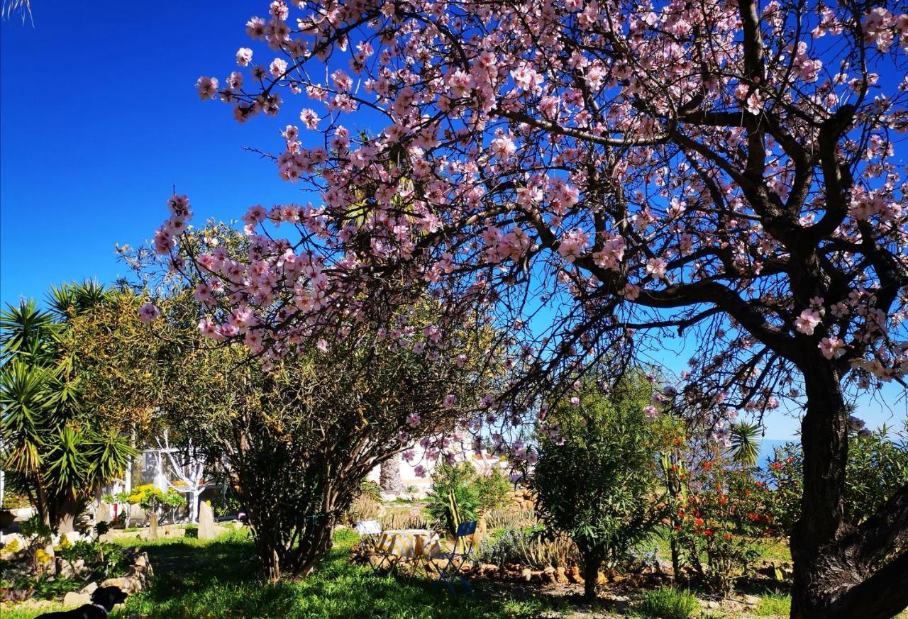 Finca Dulce Maikel Granadilla De Abona Dış mekan fotoğraf