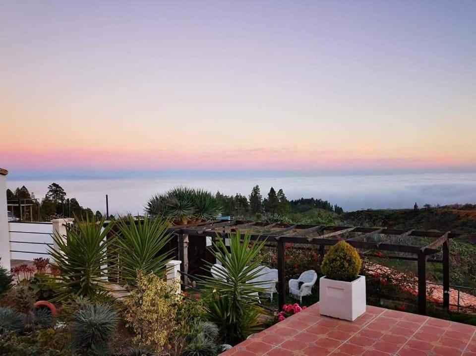 Finca Dulce Maikel Granadilla De Abona Dış mekan fotoğraf