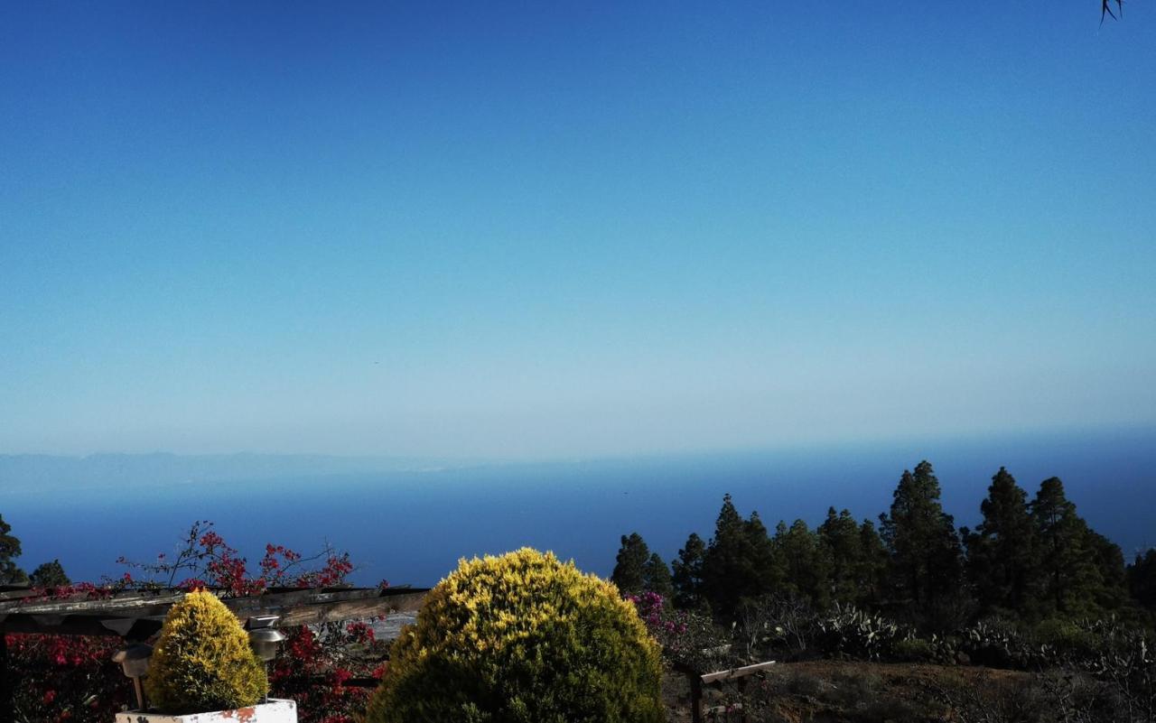 Finca Dulce Maikel Granadilla De Abona Dış mekan fotoğraf