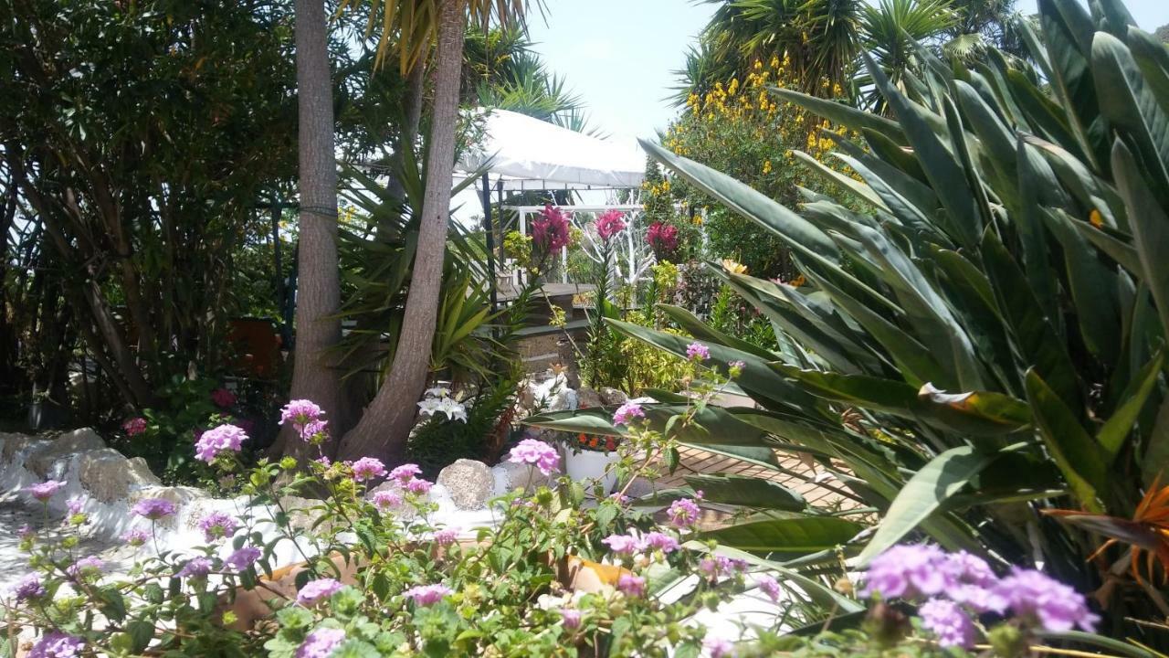 Finca Dulce Maikel Granadilla De Abona Dış mekan fotoğraf