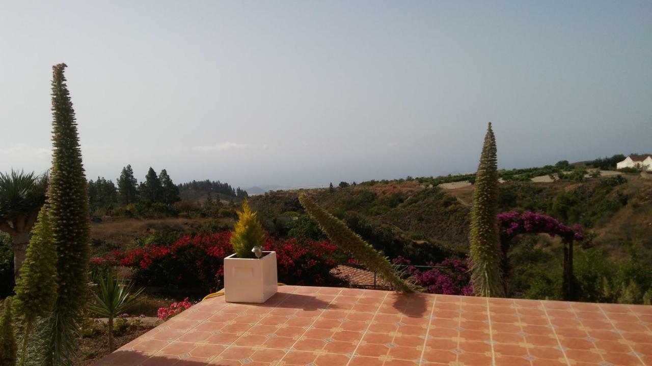 Finca Dulce Maikel Granadilla De Abona Dış mekan fotoğraf