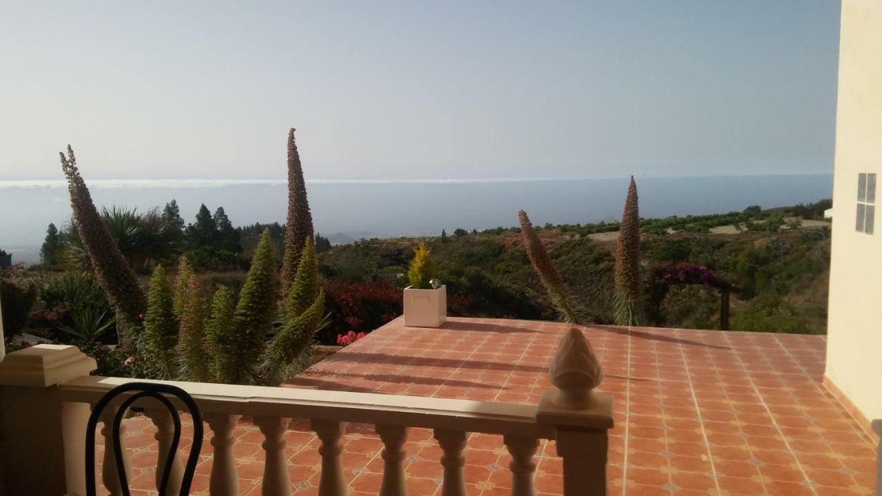 Finca Dulce Maikel Granadilla De Abona Dış mekan fotoğraf