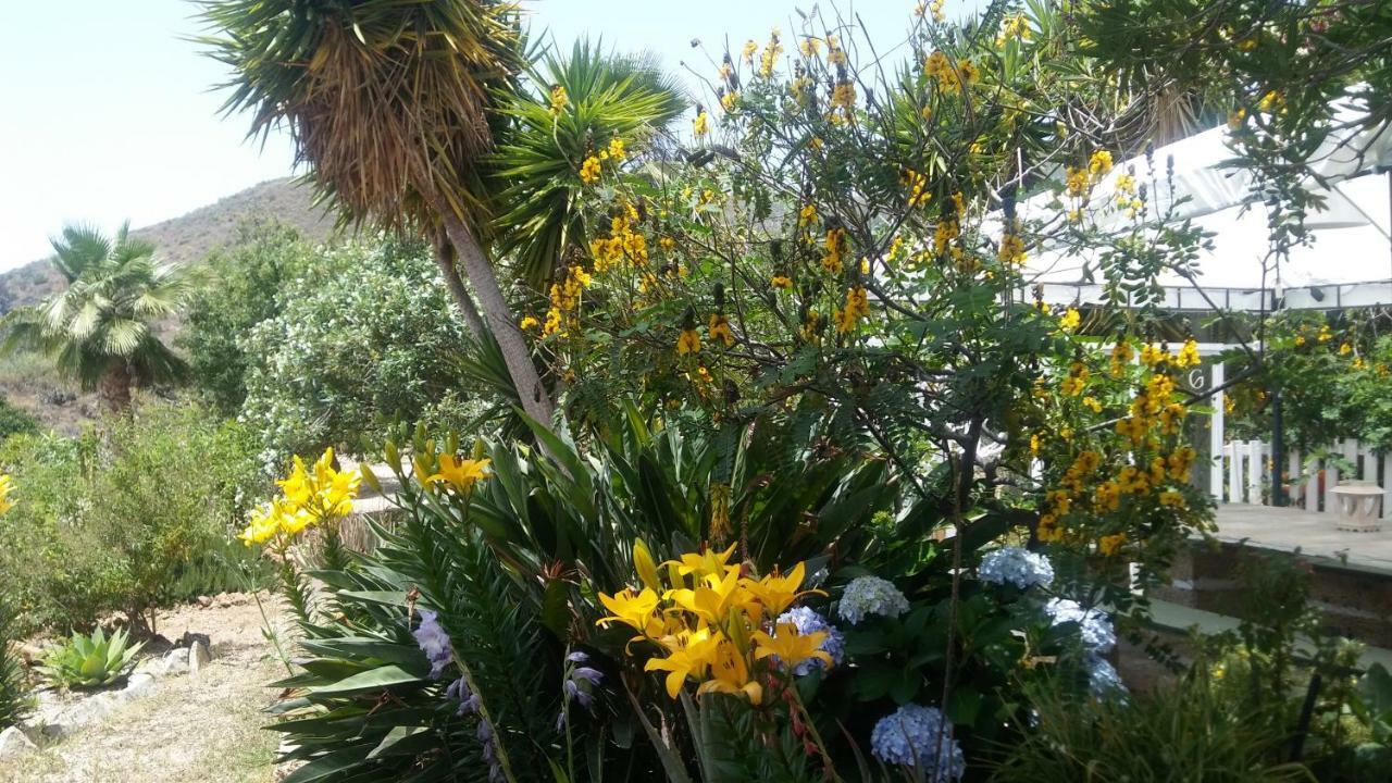 Finca Dulce Maikel Granadilla De Abona Dış mekan fotoğraf