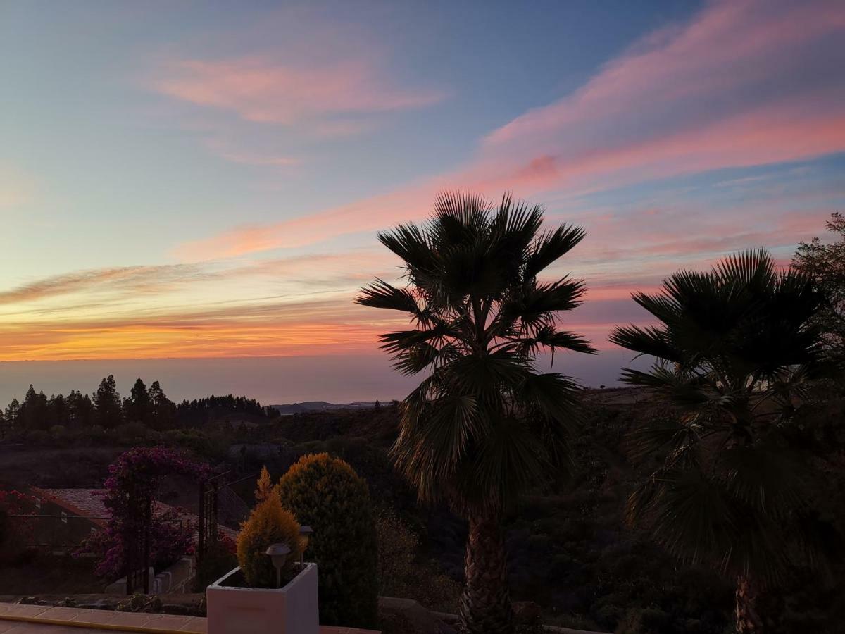 Finca Dulce Maikel Granadilla De Abona Dış mekan fotoğraf